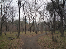 皇居二の丸庭園