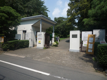 小石川植物園