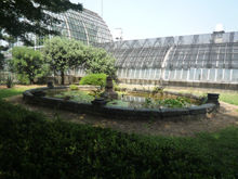 小石川植物園