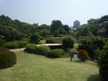 小石川植物園