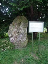 小石川植物園