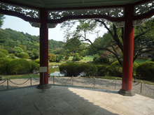 小石川植物園