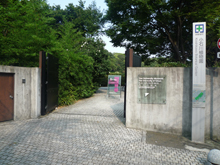小石川植物園
