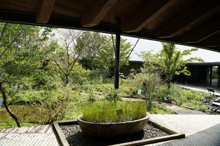 牧野植物園