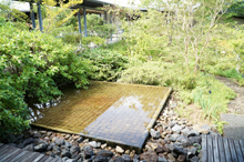 牧野植物園