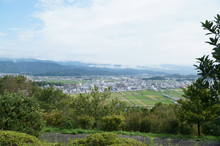 牧野植物園