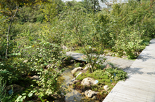 牧野植物園