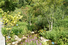 牧野植物園