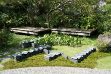 牧野植物園