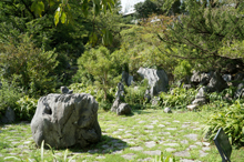 牧野植物園