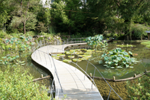 牧野植物園