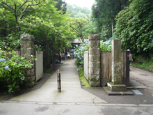 明月院