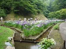 明月院