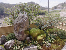 西谷邸庭園