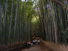 大河内山荘