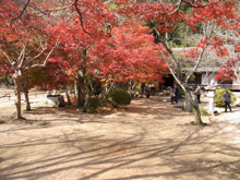 近水園
