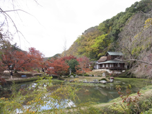 近水園