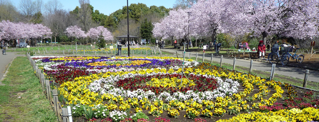 蘆花恒春園