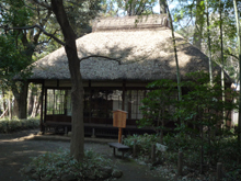 蘆花恒春園