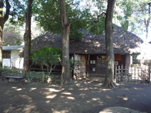 蘆花恒春園