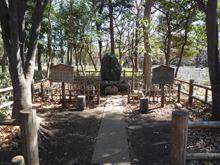蘆花恒春園