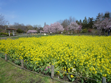 蘆花恒春園