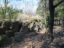蘆花恒春園