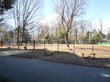蘆花恒春園