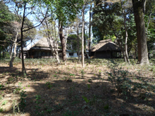 蘆花恒春園