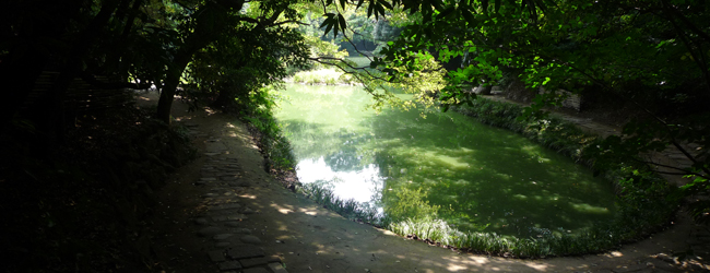 三四郎池