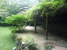 三四郎池