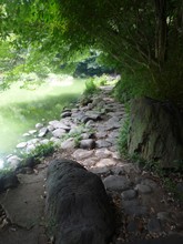 三四郎池
