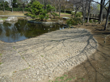 猿江恩賜公園