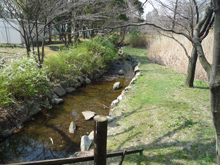 猿江恩賜公園