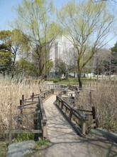 猿江恩賜公園