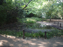 占春園