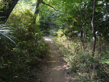 占春園