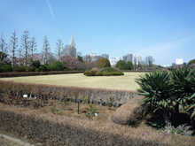 新宿御苑