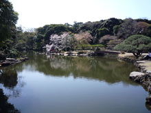新宿御苑