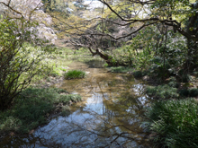 新宿御苑