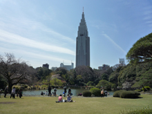 新宿御苑