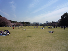 新宿御苑