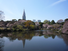 新宿御苑