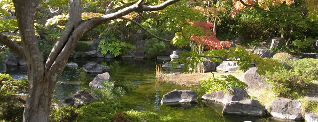 葉山しおさい公園