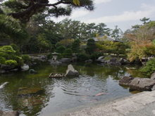 葉山しおさい公園