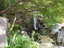 葉山しおさい公園