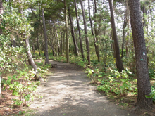 葉山しおさい公園