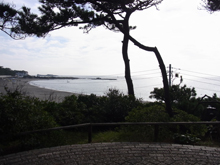 葉山しおさい公園