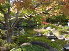 葉山しおさい公園