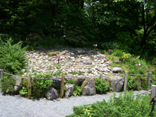 箱根湿生花園